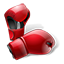Vipleague boxing